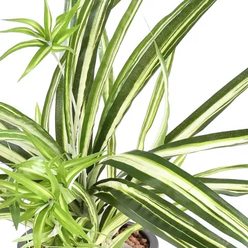 CHLOROPHYTUM artificiel 60 cm - détails feuilles