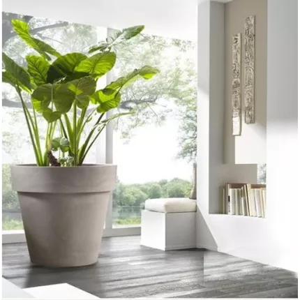 mise en situation classico prima capuccino dans un salon