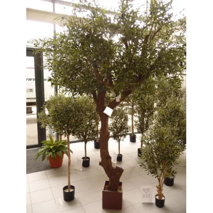 OLIVIER artificiel NEW TETE géant 270 cm (olive noire) hall d'exposition