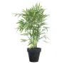 BAMBOU artificiel NEW cannes vertes 120  cm en pot