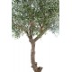 OLIVIER artificiel NEW TETE géant 270 cm (olive noire)