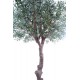 OLIVIER artificiel NEW TETE géant 270 cm (olive noire)