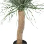 BEAUCARNEA recurvata artificiel 115 cm - tronc