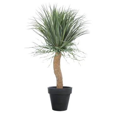 BEAUCARNEA recurvata artificiel 115 cm - dans un pot