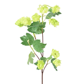 HOUBLON artificiel 75 cm