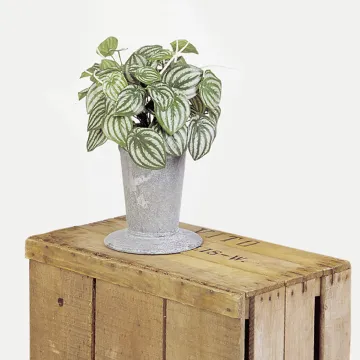 WATER MELON Peperomia artificiel  30 cm dans un pot
