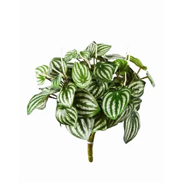 WATER MELON Peperomia artificiel  30 cm