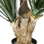 YUCCA artificiel BABY 68 cm - tronc