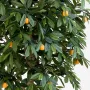 MANDARINIER artificiel arbre 110 à 170 cm en pot - feuillage