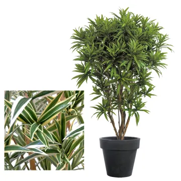 DRACENA artificiel (ou DRACAENA) JAMAICA 145 cm