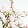 MAGNOLIA artificiel fleur tulipier du Japon 230 cm - floraison