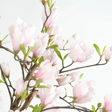MAGNOLIA artificiel fleur tulipier du Japon 230 cm - floraison