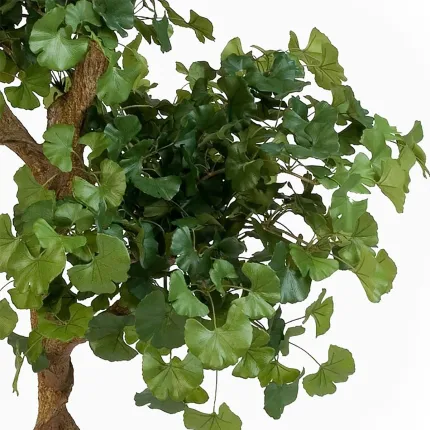 GINGKO BILOBA artificiel bonsaï 150 cm - feuillage