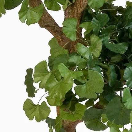 GINGKO BILOBA artificiel bonsaï 150 cm - feuilles