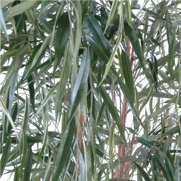 SAULE artificiel 240 cm - feuillage