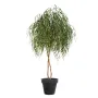 SAULE artificiel 240 cm en pot