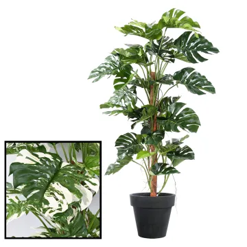 PHILODENDRON artificiel tuteur coco 160 cm en pot