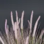 PENNISETUM artificiel en pot zinc  70 et 100 cm - détail plumeau