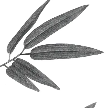 branche artificielle BAMBOU 77 cm gris anthracite - feuilles