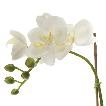 composition d'ORCHIDEE artificielle blanche - 80cm - Tige et fleurs