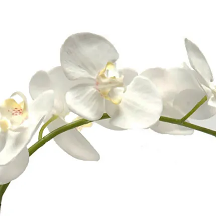 Fleurons de Phalaenopsis artificielle 80 cm - détail