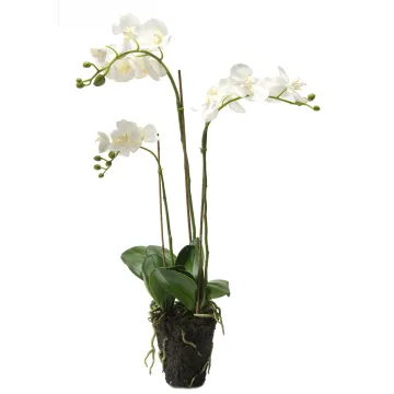 composition Phalaenopsis ORCHIDEE artificielle 80 cm