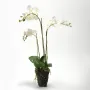 Arrangement de fausse orchidée phalaenopsis blanc - 80cm