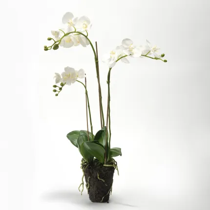 Arrangement de fausse orchidée phalaenopsis blanc - 80cm