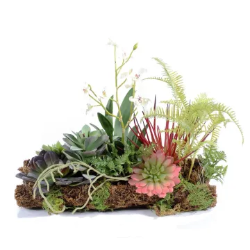 composition Phalaenopsis ORCHIDEE et SUCCULENTE artificielle sur socle 40 x 30 cm  à suspendre ou à poser