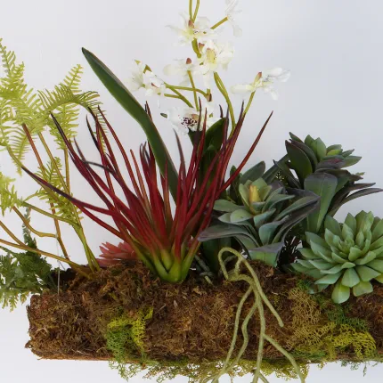 composition ORCHIDEE et SUCCULENTE artificiel sur socle 40 x 30 cm  à suspendre ou à poser - détails