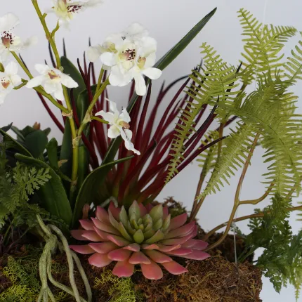 composition ORCHIDEE et SUCCULENTE artificiel sur socle 40 x 30 cm  à suspendre ou à poser - succulente