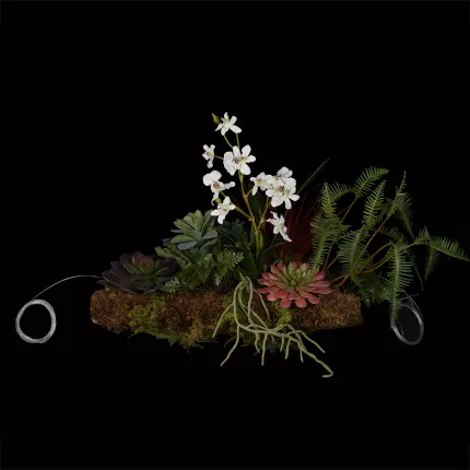 composition Phalaenopsis ORCHIDEE et SUCCULENTE artificielle sur socle 40 x 30 cm  posée avec lien