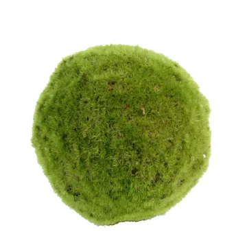 MOUSSE BOULE artificielle diam. 18 cm