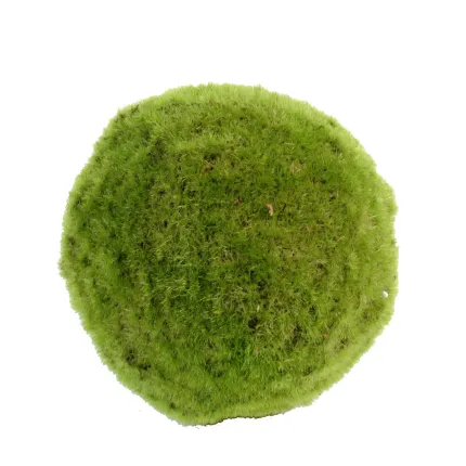 MOUSSE BOULE artificielle diam. 18 cm