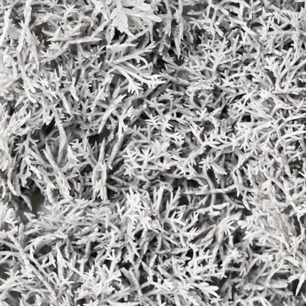 Plaque de mousse ISLANDE artificielle 25 cm x 50 cm gris - brins