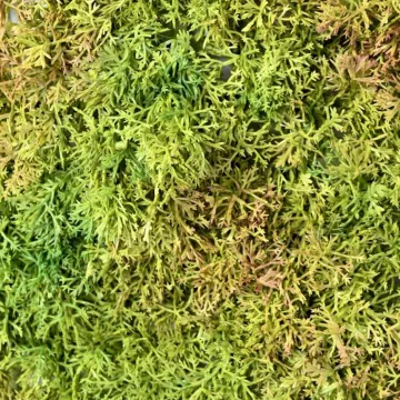 Plaque de mousse ISLANDE artificielle 25 cm x 50 cm 3 tons - brins