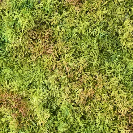 Plaque de mousse ISLANDE artificielle 25 cm x 50 cm 3 tons - détails couleurs