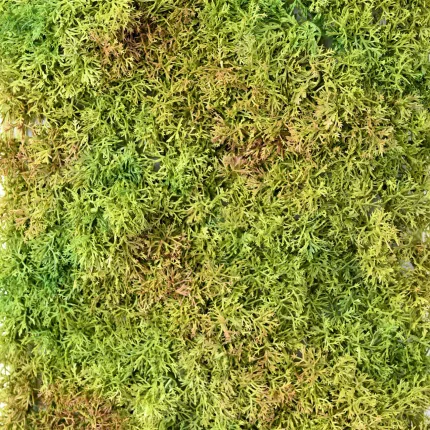 Plaque de mousse ISLANDE artificielle 25 cm x 50 cm 3 tons - détails