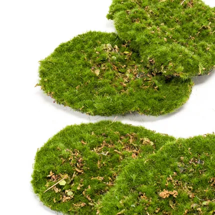 PLAQUE DE MOUSSE par 4  15 cm x 11 cm - détails