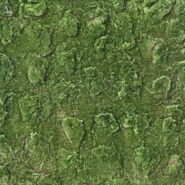 Plaque de mousse artificielle 200cm x 100cm - détails