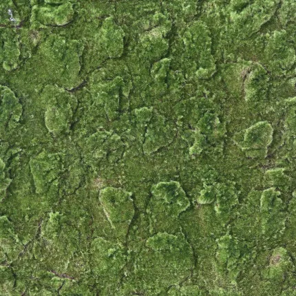 Plaque de mousse artificielle 200cm x 100cm - détails