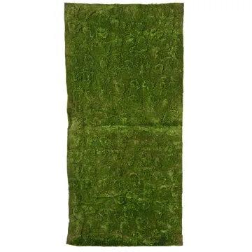 Plaque de mousse artificielle 200cm x 100cm