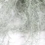 TILLANDSIA artificiel (MOUSSE ESPAGNOLE) 60 cm - brins
