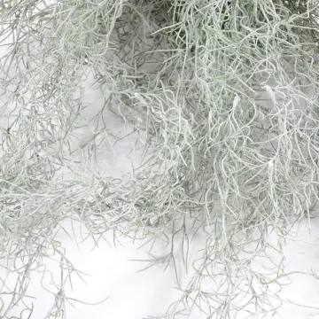 TILLANDSIA artificiel (MOUSSE ESPAGNOLE) 60 cm - brins