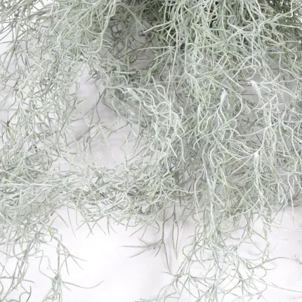 TILLANDSIA artificiel (MOUSSE ESPAGNOLE) 60 cm - brins