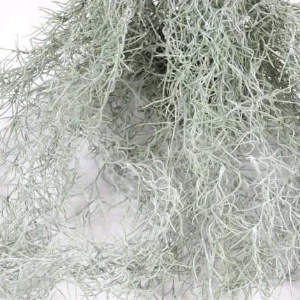 feuilles TILLANDSIA artificiel (MOUSSE ESPAGNOLE) 60 cm