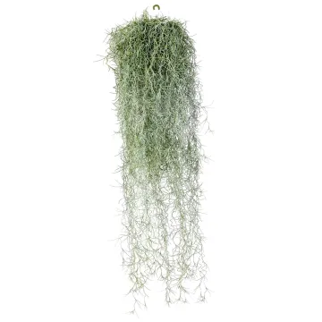 TILLANDSIA artificiel (MOUSSE ESPAGNOLE) 60 cm