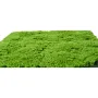 Plaque de mousse SPHAIGNE artificielle vert clair 50 cm x 50 cm - de profil