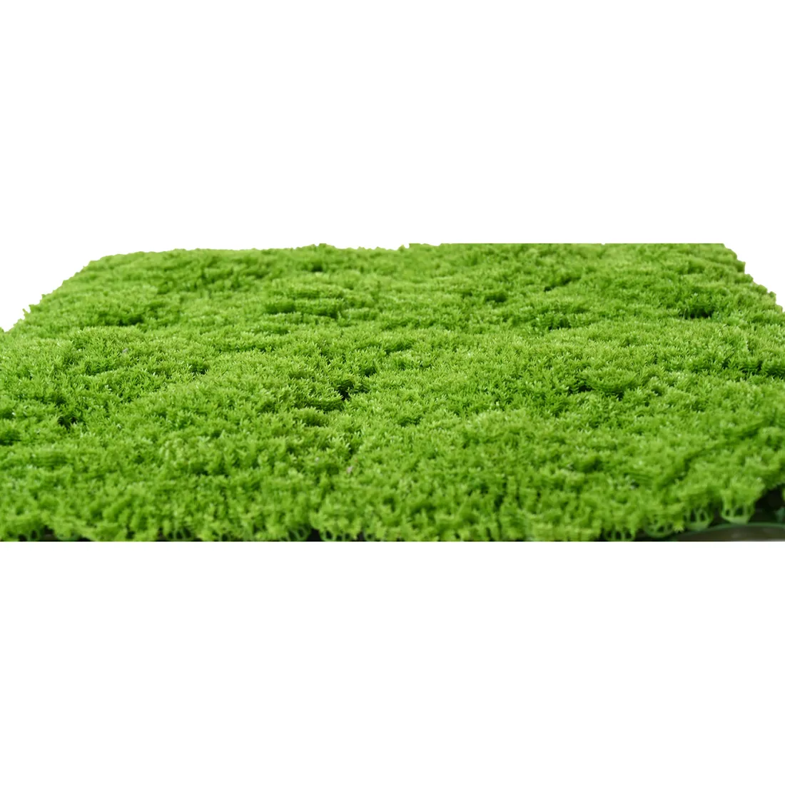 Plaque de mousse SPHAIGNE artificielle vert clair 50 cm x 50 cm - de profil