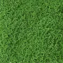 Plaque de mousse SPHAIGNE artificielle vert foncé 50 cm x 50 cm - détails brins